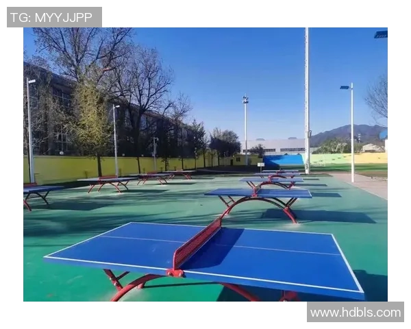 以体育爱好者为中心打造多元化健身体验和社交平台促进全民运动热情