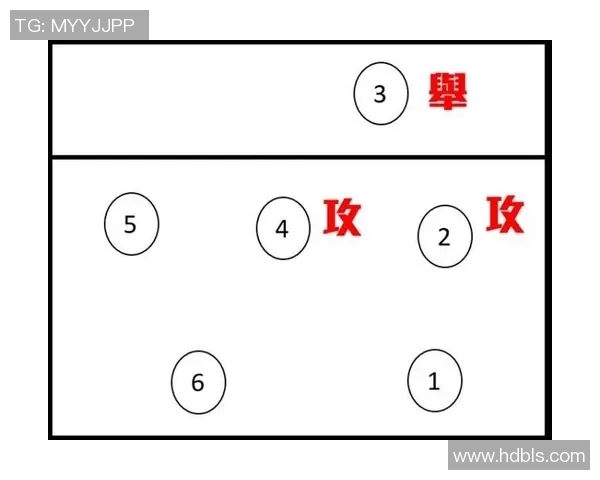 上海排球队的整体压制分析与战术解读探讨